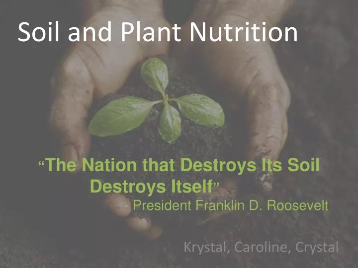 soil and plant nutrition