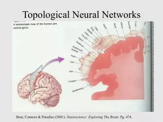 Topological Neural Networks