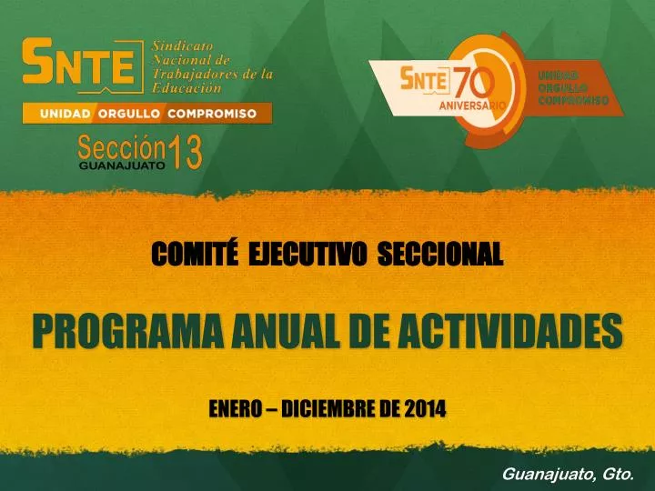 programa anual de actividades enero diciembre de 2014