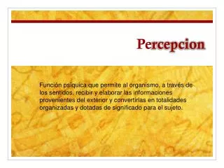 pe rcepcion