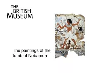 The paintings of the tomb of Nebamun