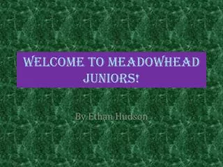 Welcome to Meadowhead juniors!