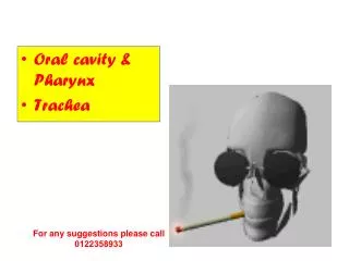 Oral cavity &amp; Pharynx Trachea