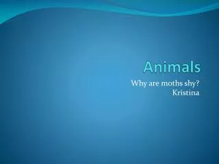 Animals