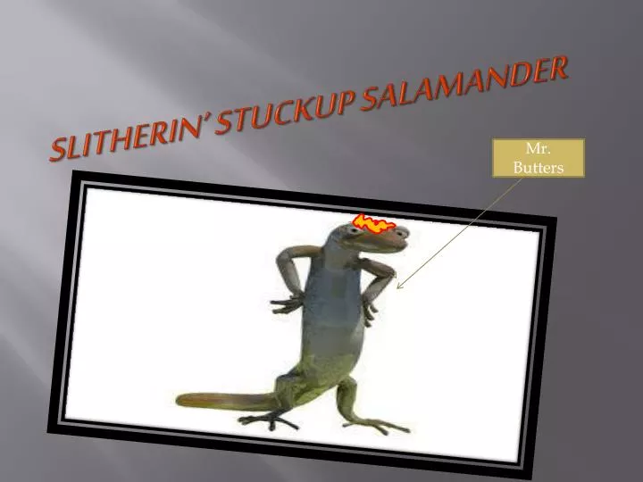 slitherin stuckup salamander