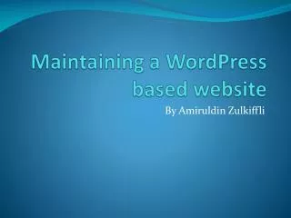 Maintaining a WordPress based website