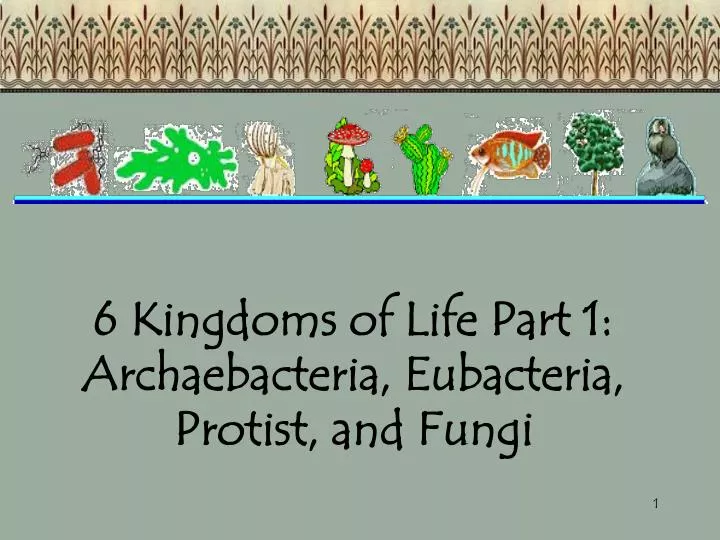 6 kingdoms of life part 1 archaebacteria eubacteria protist and fungi