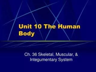 Unit 10 The Human Body