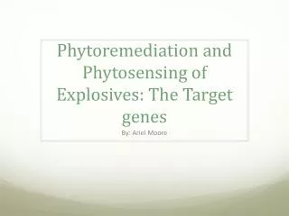 Phytoremediation and P hytosensing of Explosives: The T arget genes