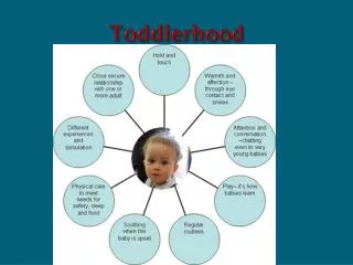 Toddlerhood