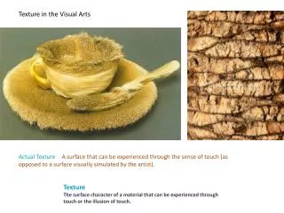 Texture in the Visual Arts