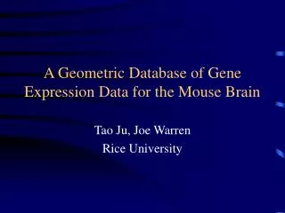 A Geometric Database of Gene Expression Data for the Mouse Brain