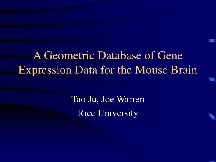 a geometric database of gene expression data for the mouse brain