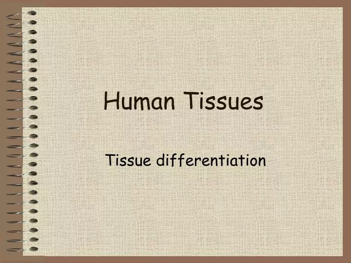 human tissues