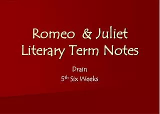 Romeo &amp; Juliet Literary Term Notes