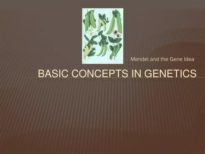 basic concepts in genetics