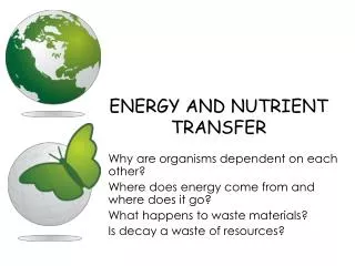 ENERGY AND NUTRIENT TRANSFER