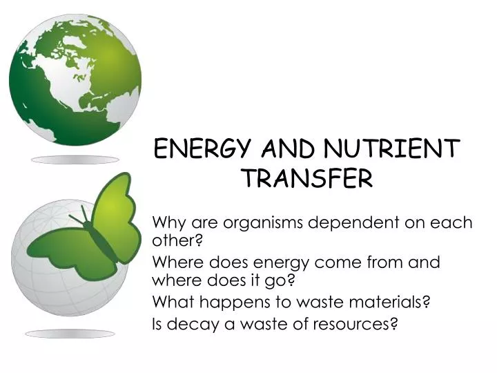 energy and nutrient transfer