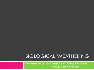 biological weathering