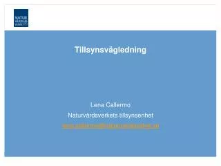 tillsynsv gledning