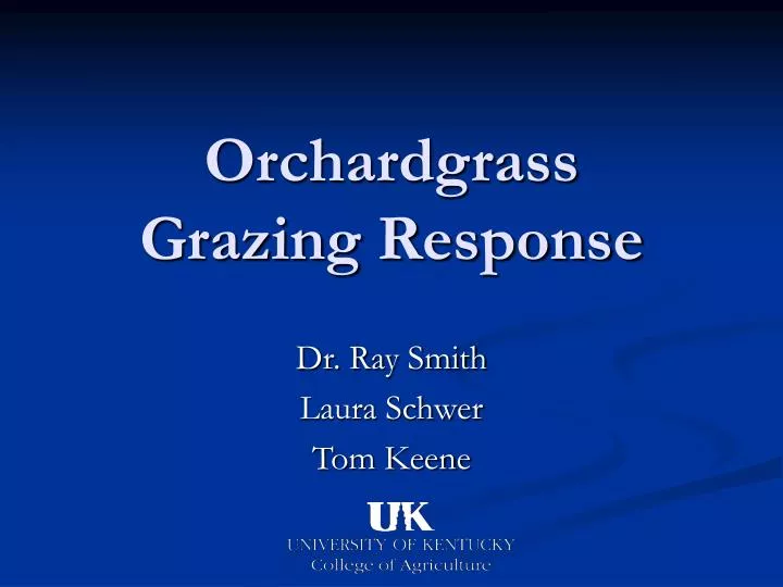 orchardgrass grazing response