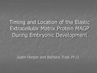 Timing and Location of the Elastic Extracellular Matrix Protein MAGP During Embryonic Development