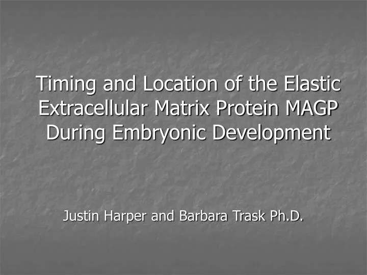 timing and location of the elastic extracellular matrix protein magp during embryonic development