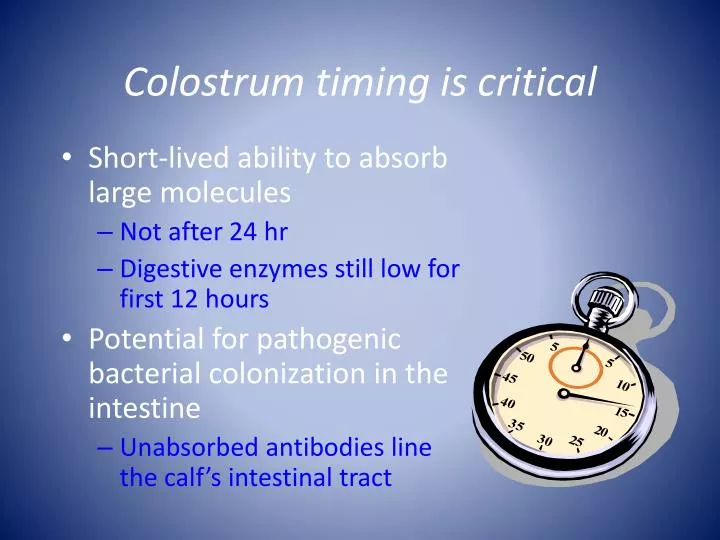 colostrum timing is critical