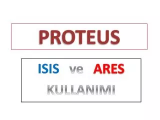 proteus