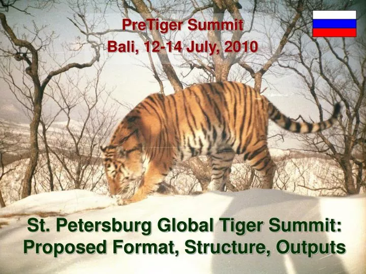 st petersburg global tiger summit proposed format structure outputs