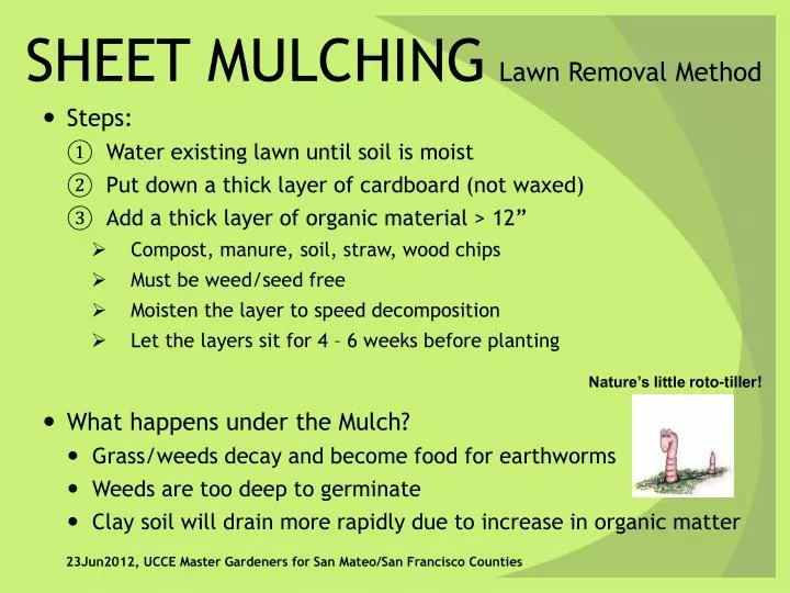 sheet mulching lawn removal method