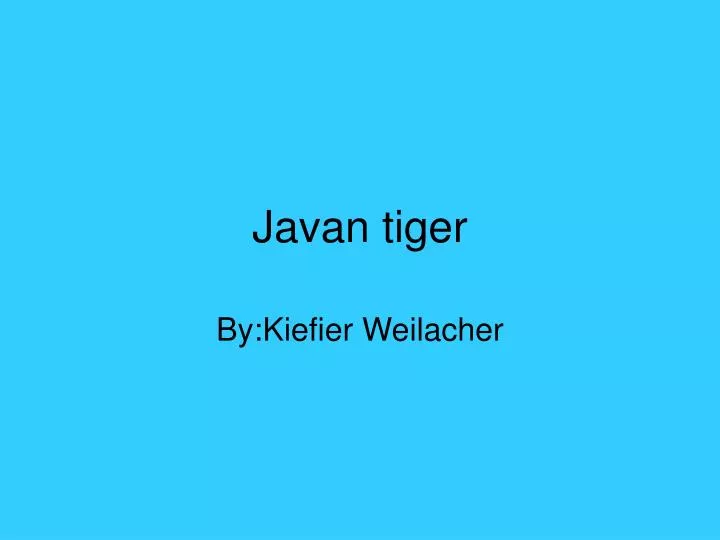 javan tiger