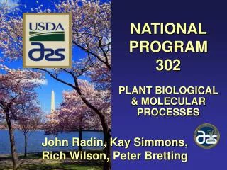 NATIONAL PROGRAM 302 PLANT BIOLOGICAL &amp; MOLECULAR PROCESSES