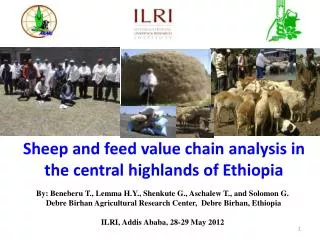 Sheep and feed value chain analysis in the central highlands of Ethiopia