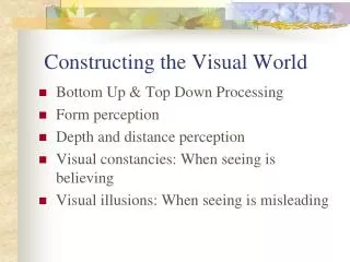 Constructing the Visual World