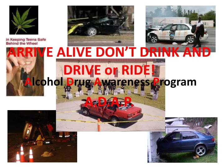 arrive alive don t drink and drive or ride