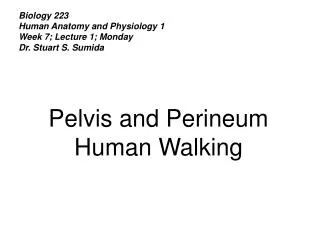Biology 223 Human Anatomy and Physiology 1 Week 7; Lecture 1; Monday Dr. Stuart S. Sumida