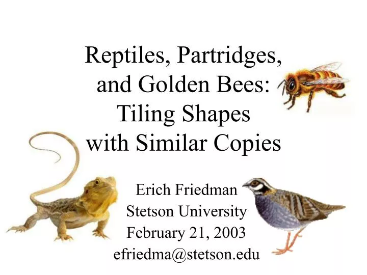 reptiles partridges and golden bees tiling shapes with similar copies