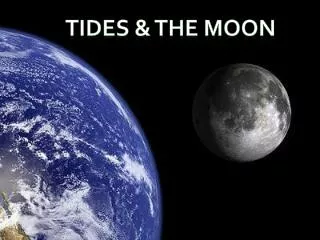 Tides &amp; the moon