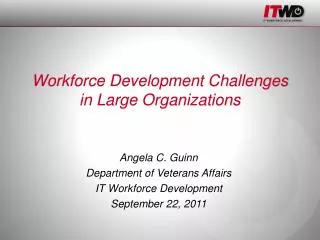 Workforce Development Challenges in Large Organizations