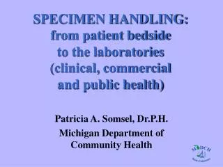 Patricia A. Somsel, Dr.P.H. Michigan Department of Community Health
