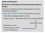 Endocrine Diseases: - slide 1