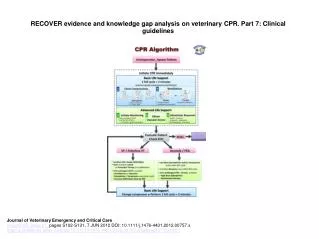 RECOVER evidence and knowledge gap analysis on veterinary CPR. Part 7: Clinical guidelines