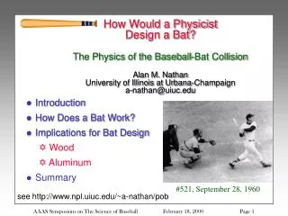 Introduction How Does a Bat Work? Implications for Bat Design Wood Aluminum Summary