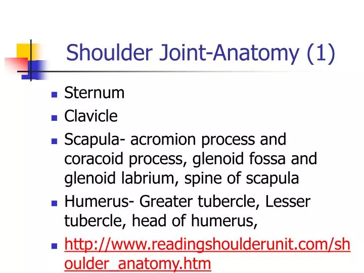 shoulder joint anatomy 1