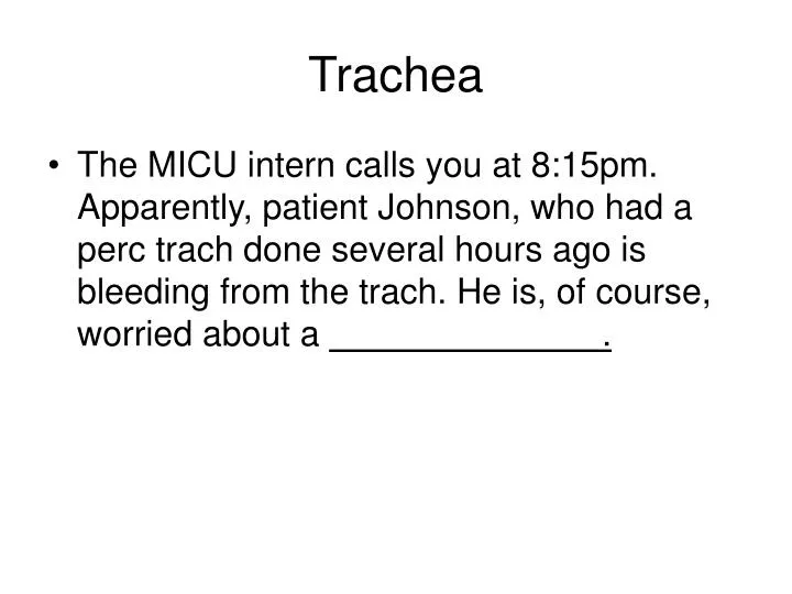 trachea