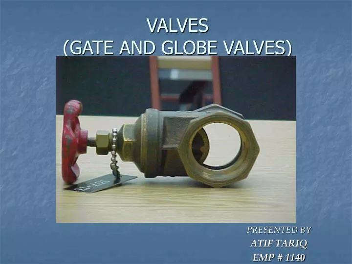 valves gate and globe valves