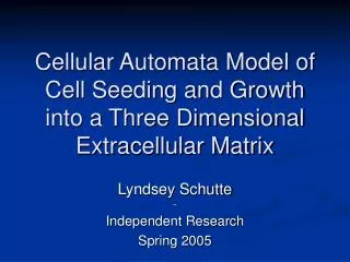 Cellular Automata Model of Cell Seeding and Growth into a Three Dimensional Extracellular Matrix