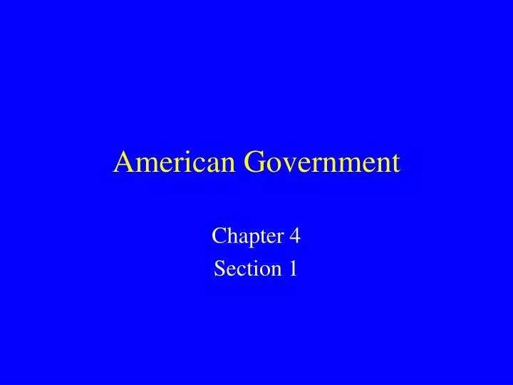 american government