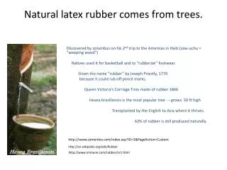 Natural latex rubber comes from trees.